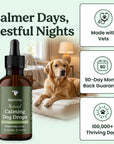 calmer days and more restful nights - image of calming drops bottle and a dog resting on a bed