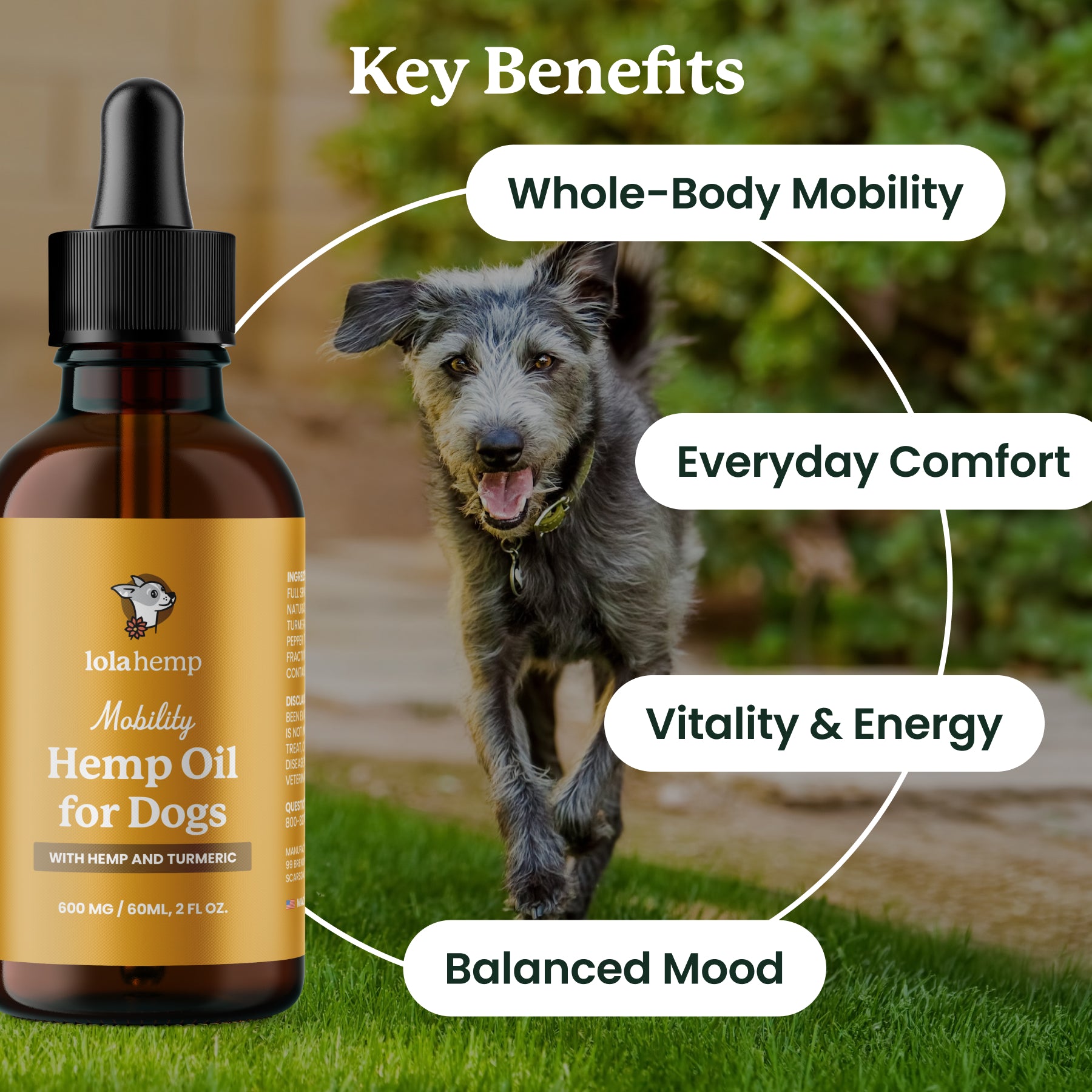iola hemp Mobility Hemp Oil for Dogs bottle with a dog running on grass, labeled key benefits.