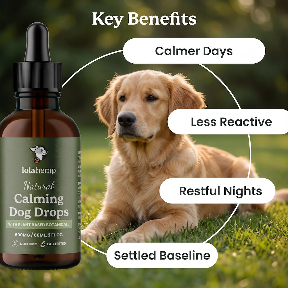 the key benefits of lolahemp calming drops - calmer days, less reactive, restful nights, settled baseline