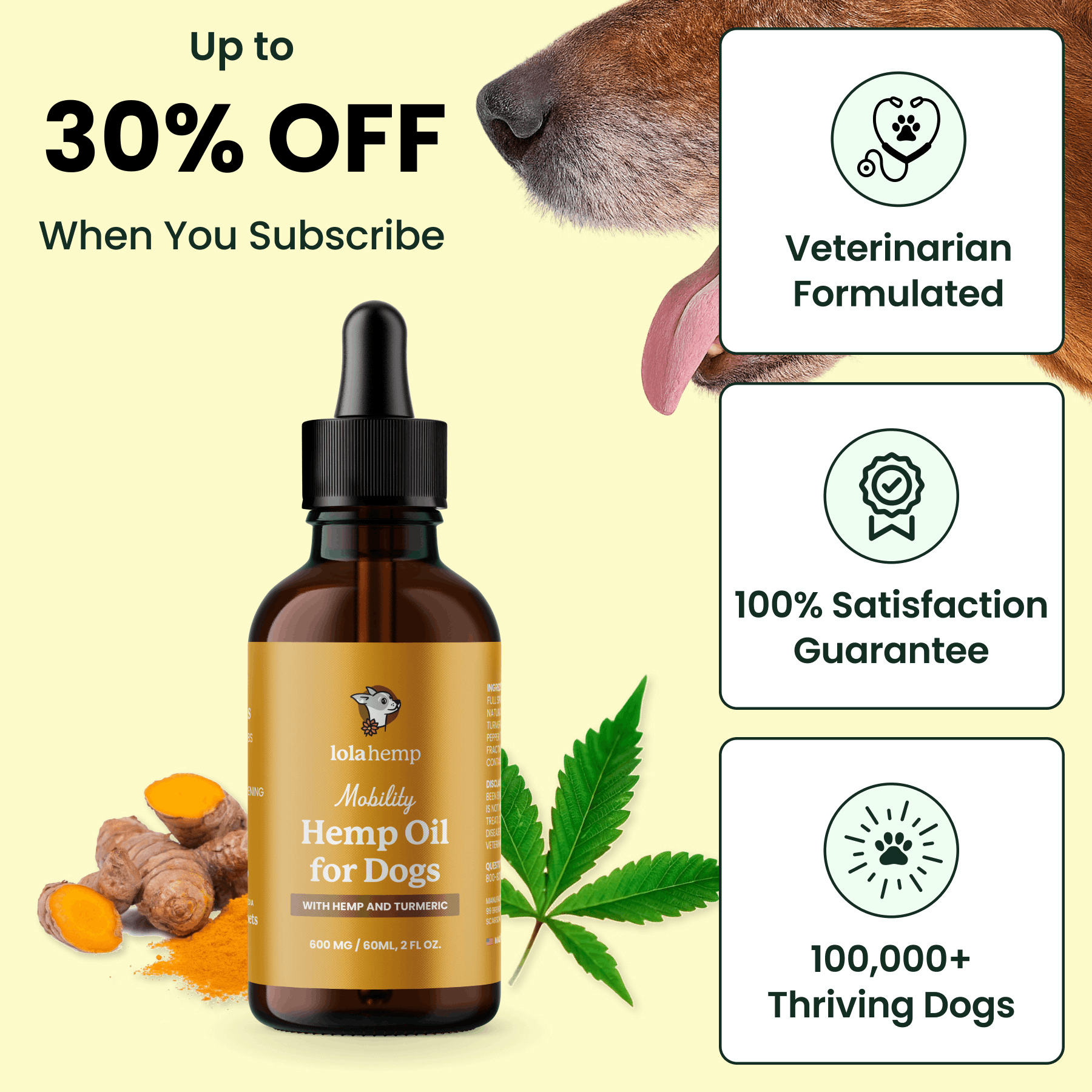 Lolahemp Mobility Drops