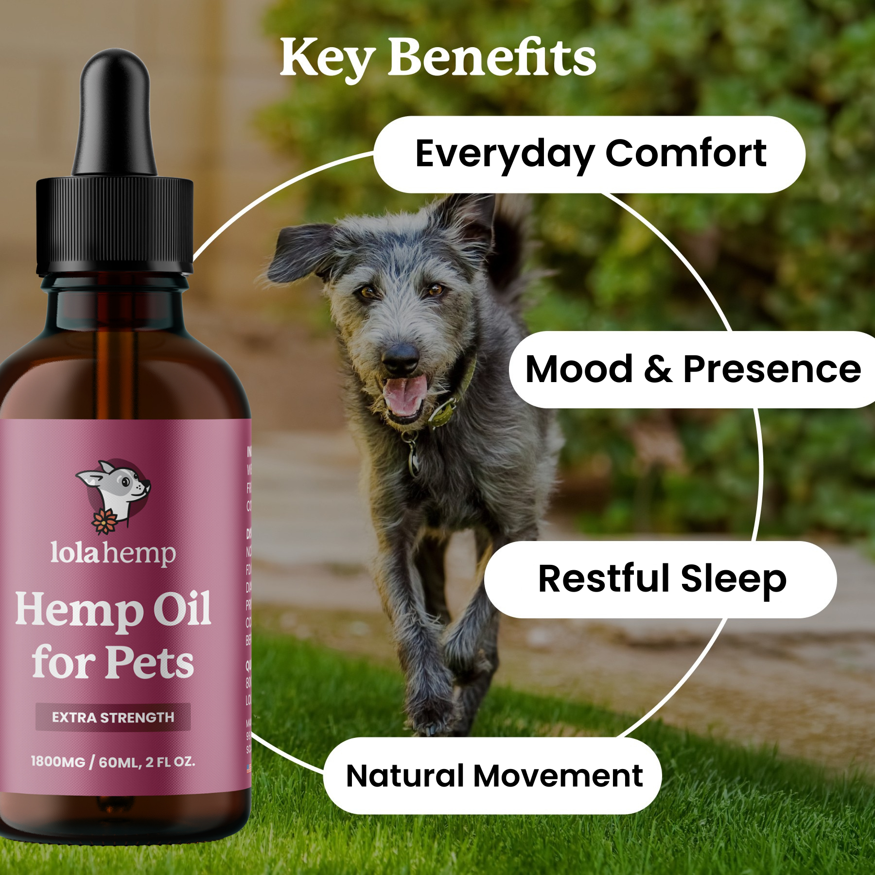 Lolahemp Max Relief Drops