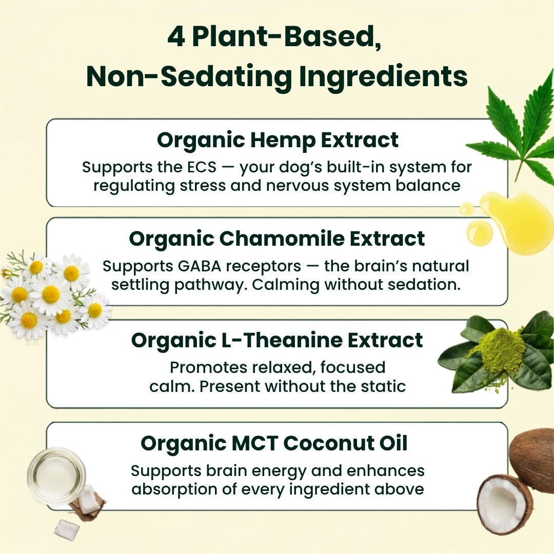 the ingredients in lolahemp calming drops