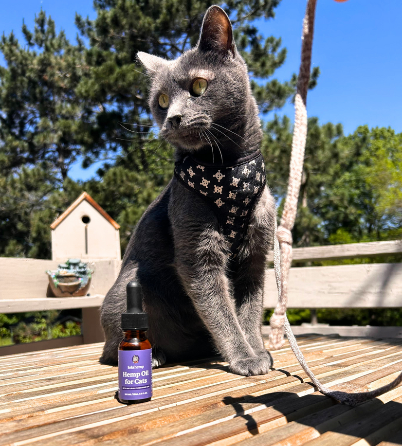 Pet CBD Oil Lolahemp