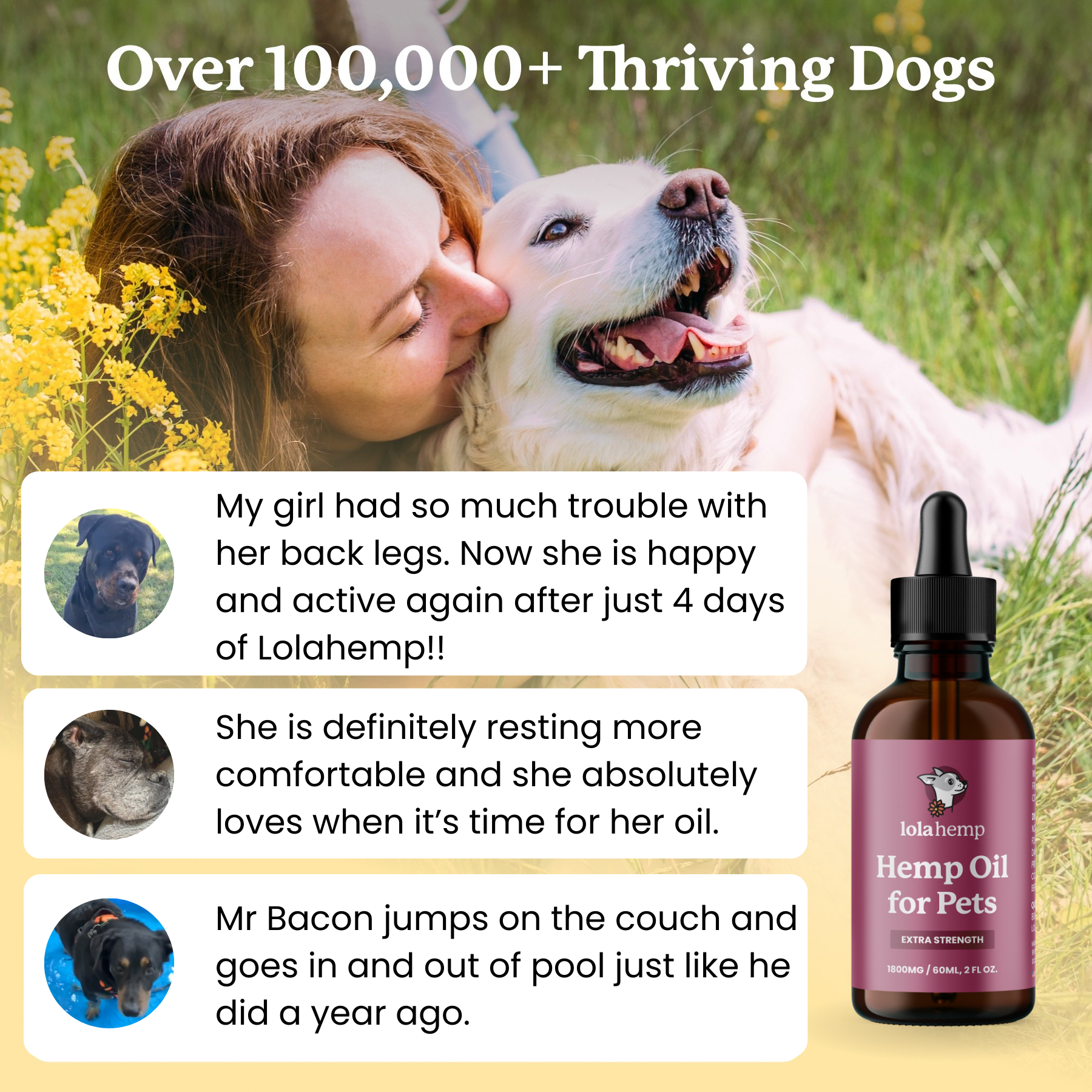 Lolahemp Max Relief Drops