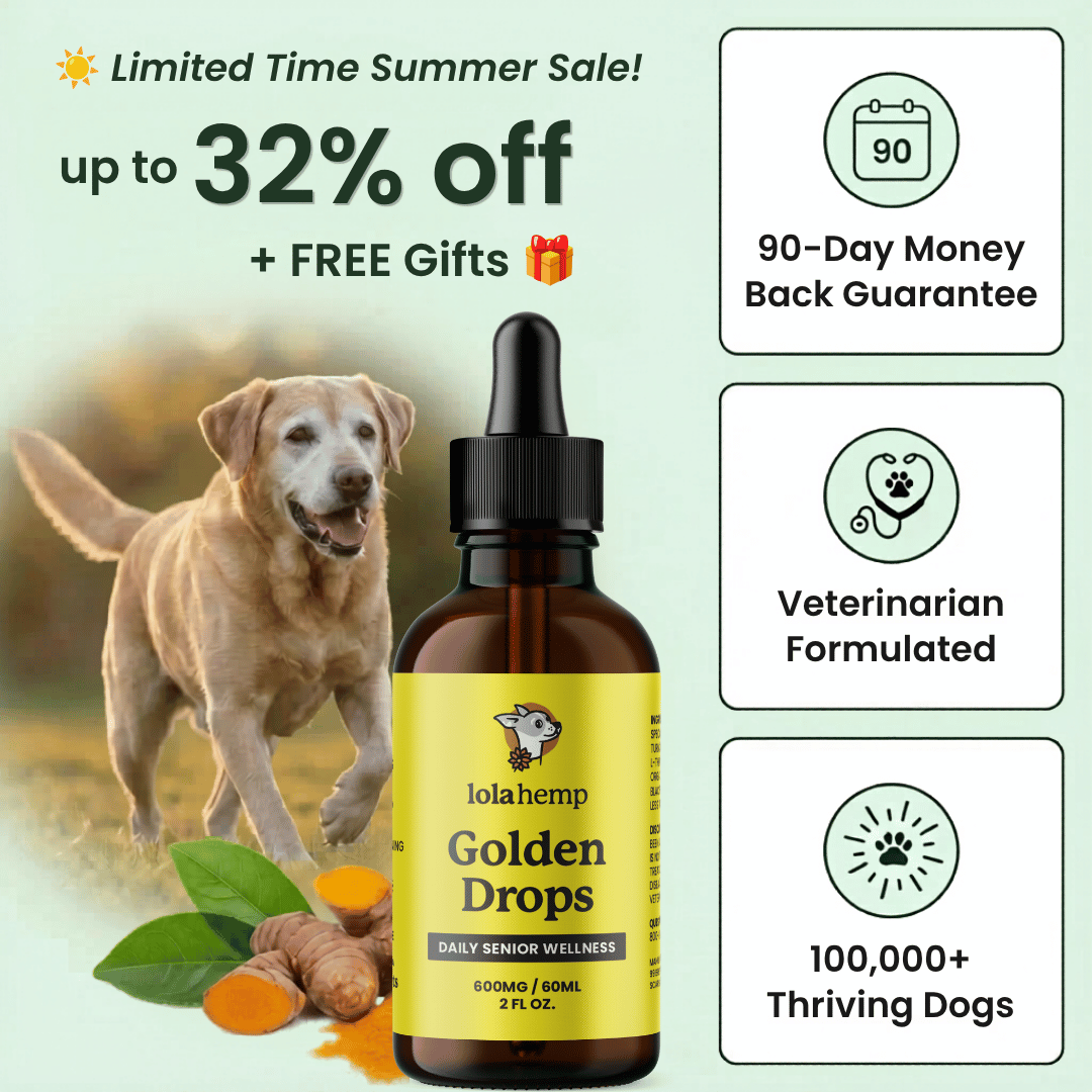 Lolahemp Golden Drops (Starter Offer)