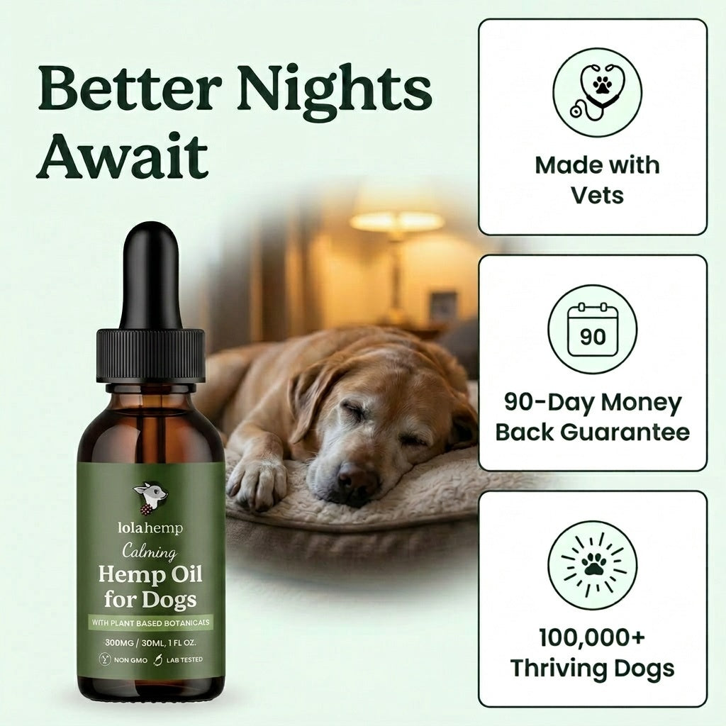 better nights await - image of lolahemp calming oil for dogs