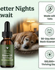 better nights await - image of lolahemp calming oil for dogs