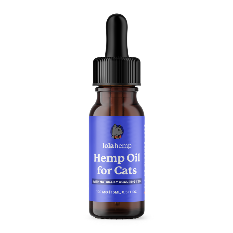 Natural Pain Relief for Cats at Home Lolahemp