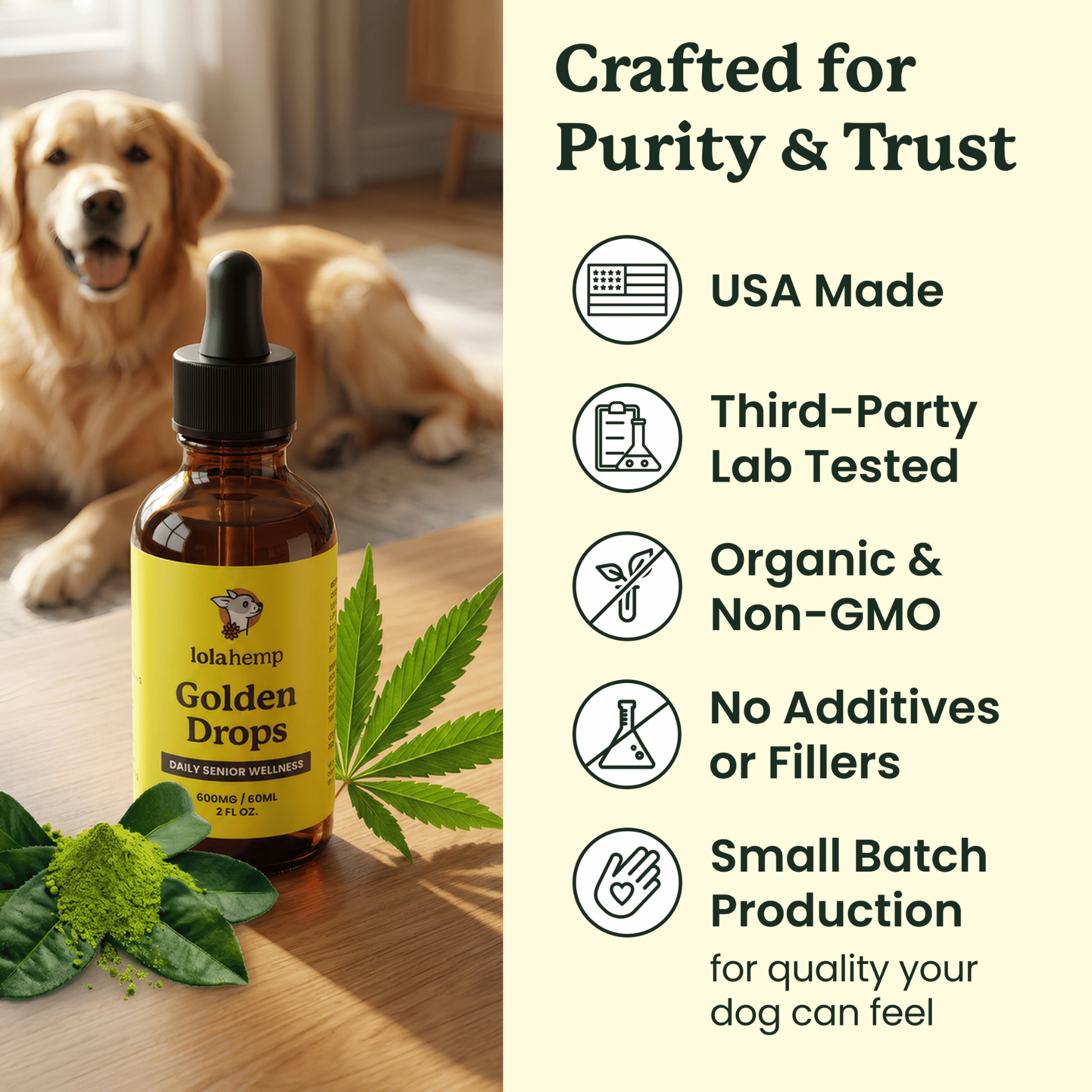 Iolahemp Golden Drops bottle with a dog in the background, featuring product details on purity and trust.
