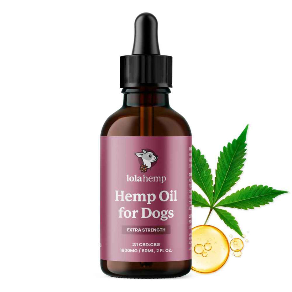 Extra Strength CBD Oil for Dogs