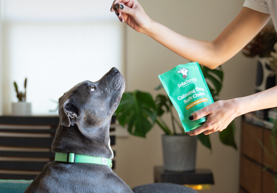 Lolahemp Plant Powered Pet Health & Wellness