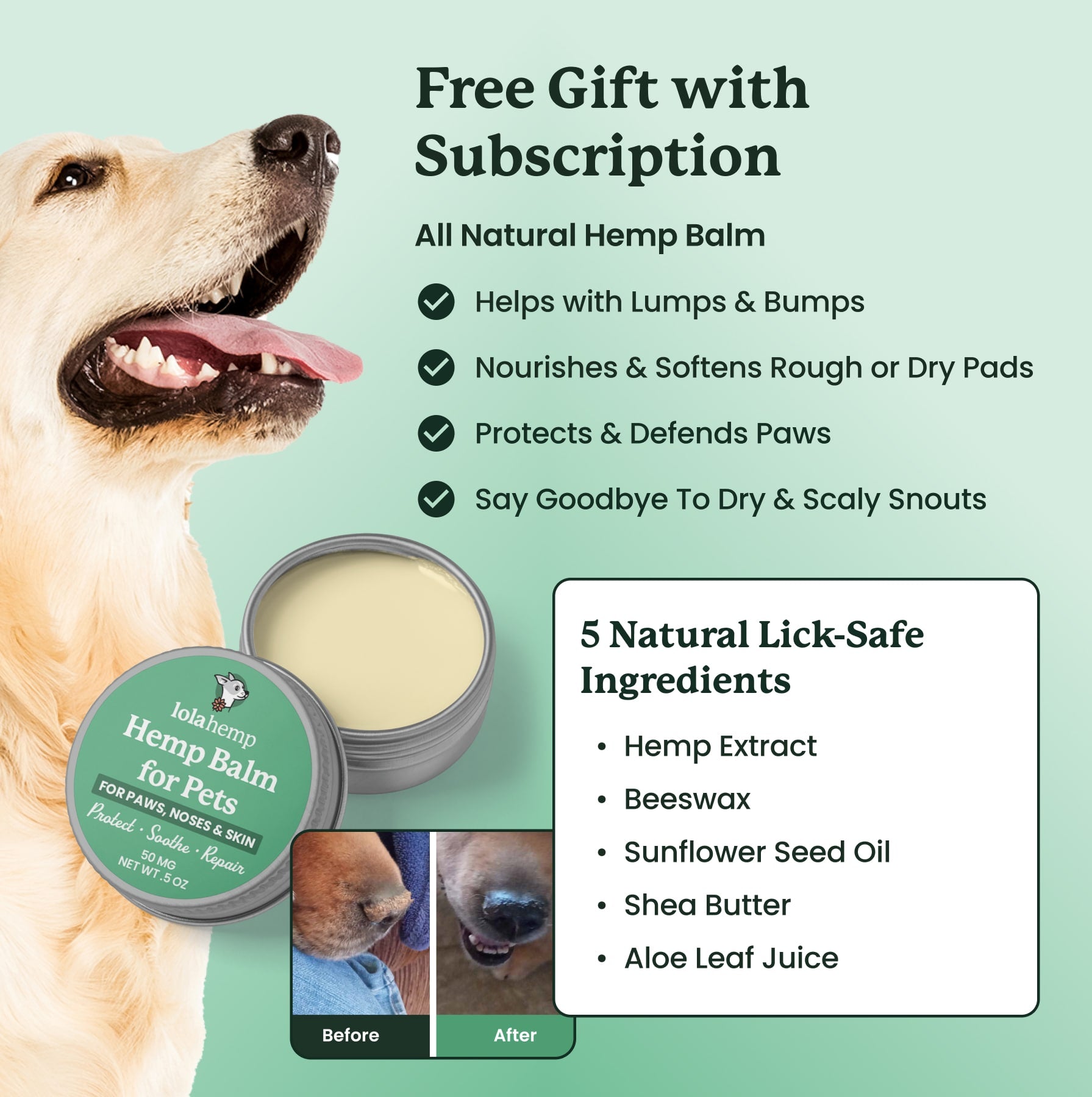 NEW* Golden Drops Senior Dog Formula