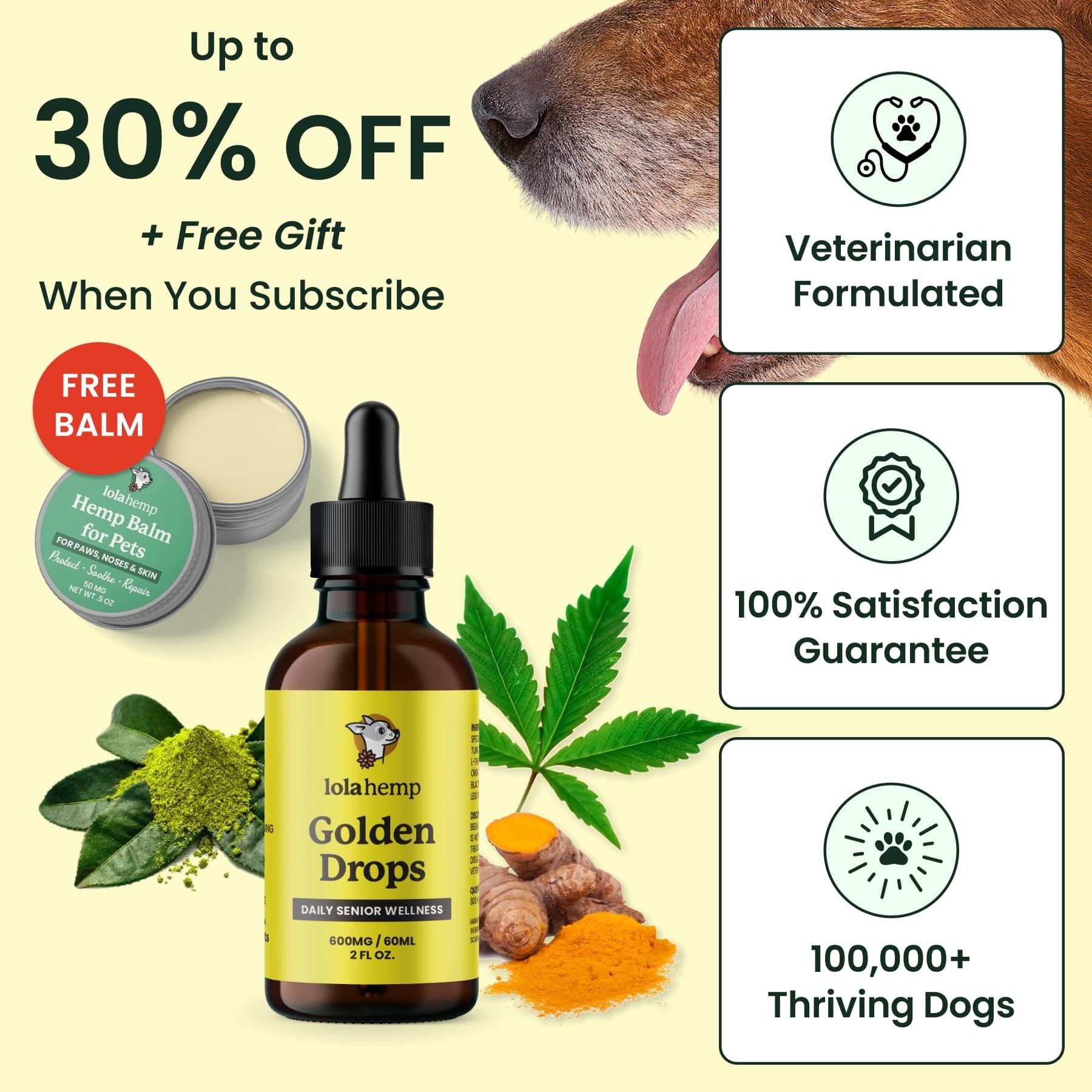 Iola Hemp Golden Drops product with promotional text and images of a dog and cannabis leaves on a light yellow background.