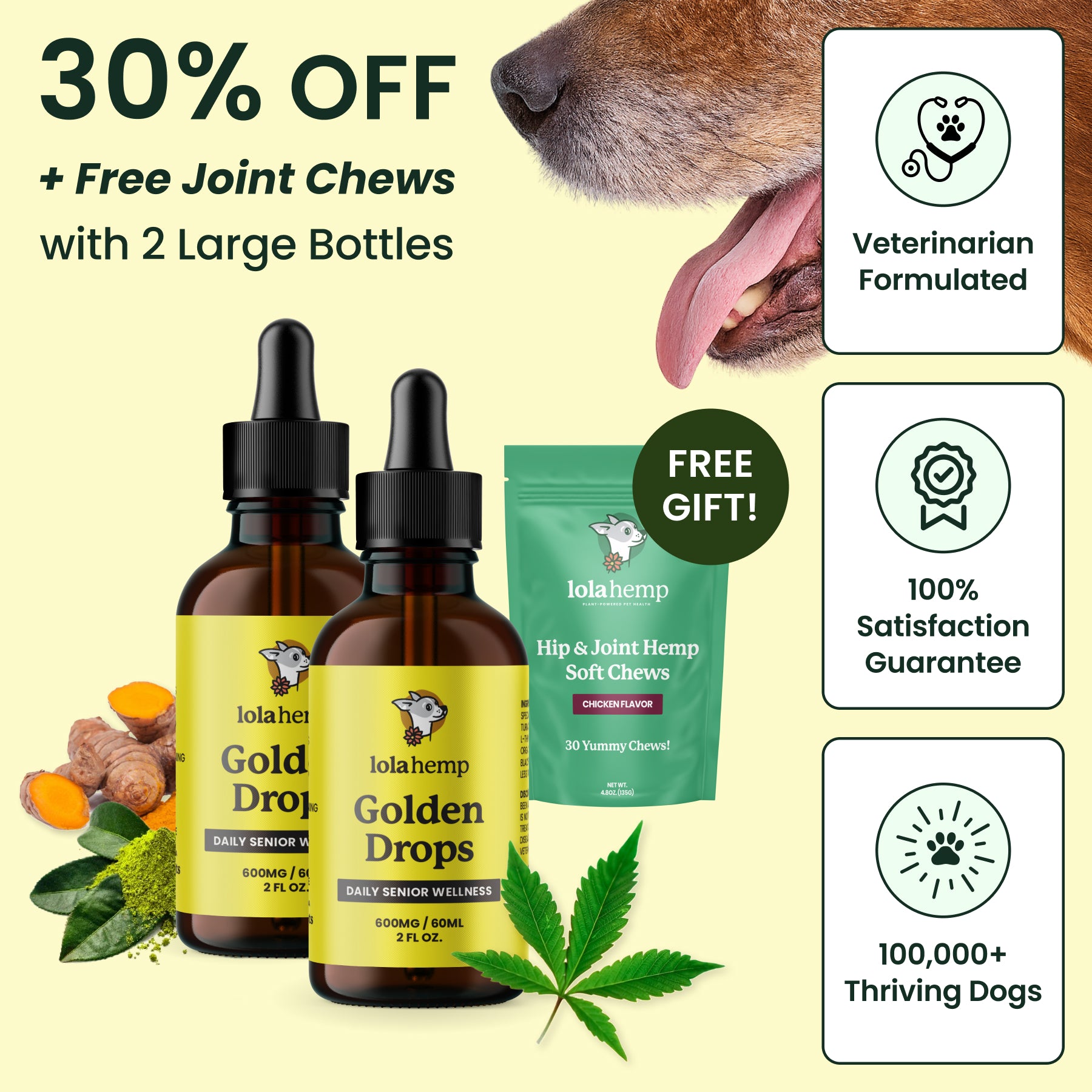 Free hip &amp; joint chews with 2 large bottles of golden drops