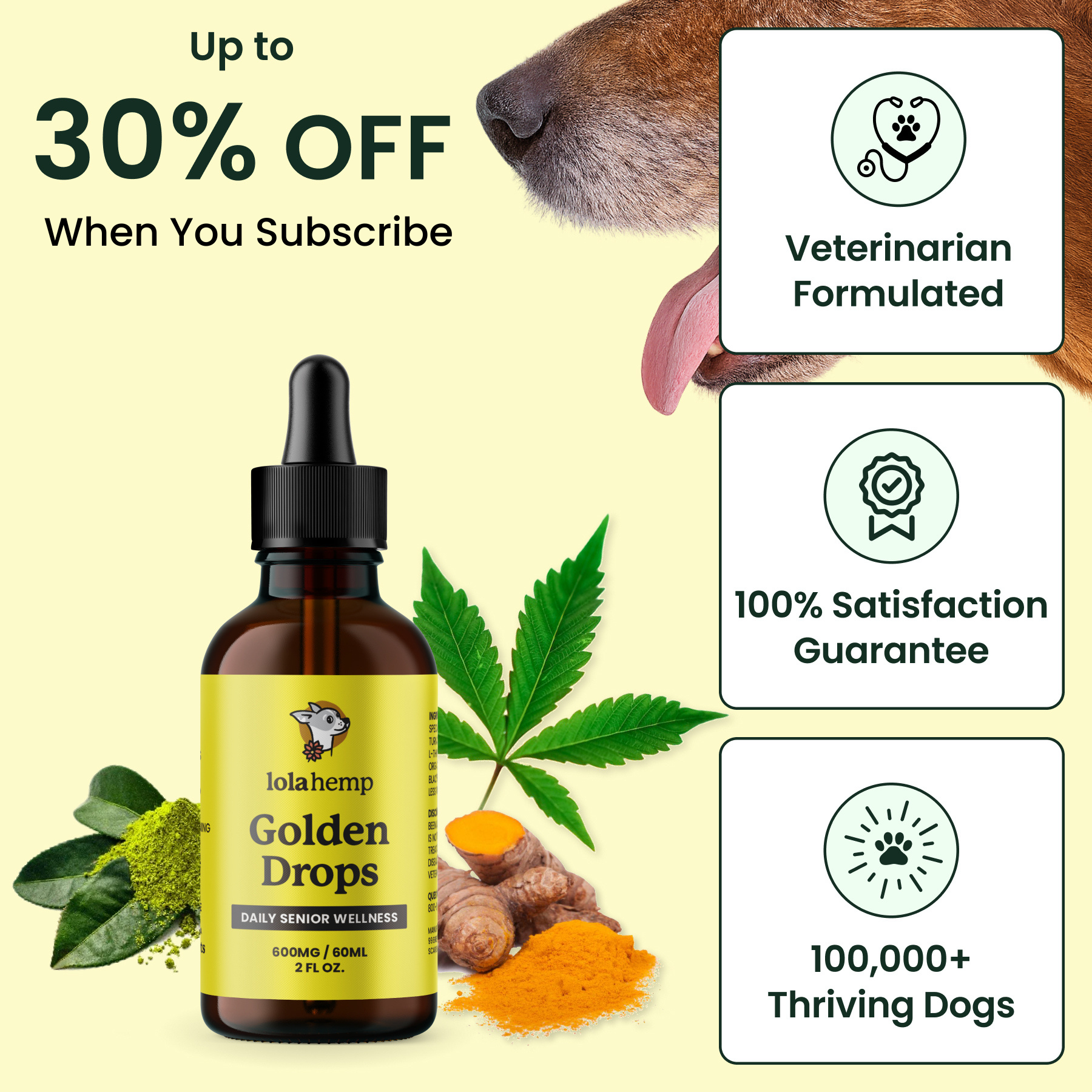 Lolahemp Golden Drops bottle with product details and promotional text on a light yellow background