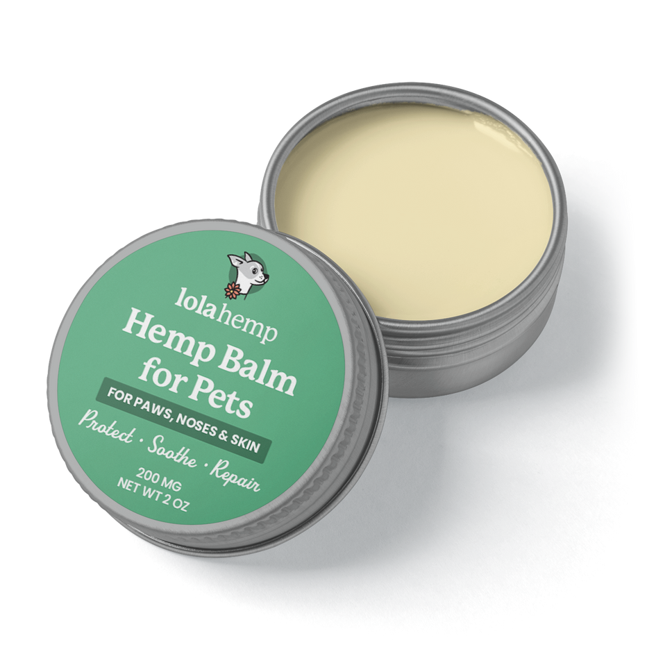 Dry Dog Nose Balm