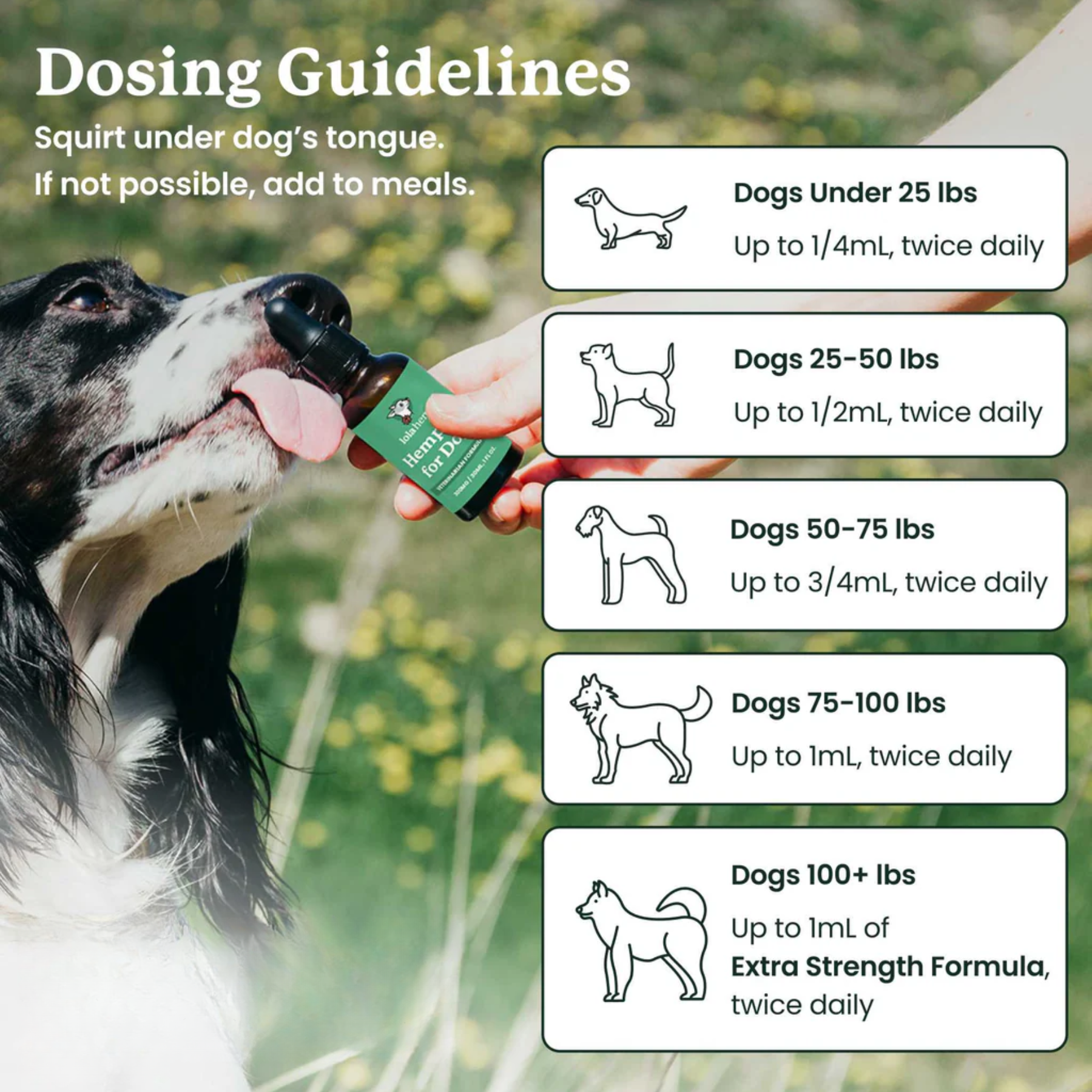 Dog receiving a supplement with dosing guidelines displayed on a natural background