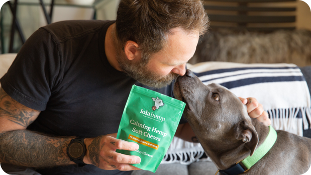 Holistic dog parent choosing Lolahemp calming chews