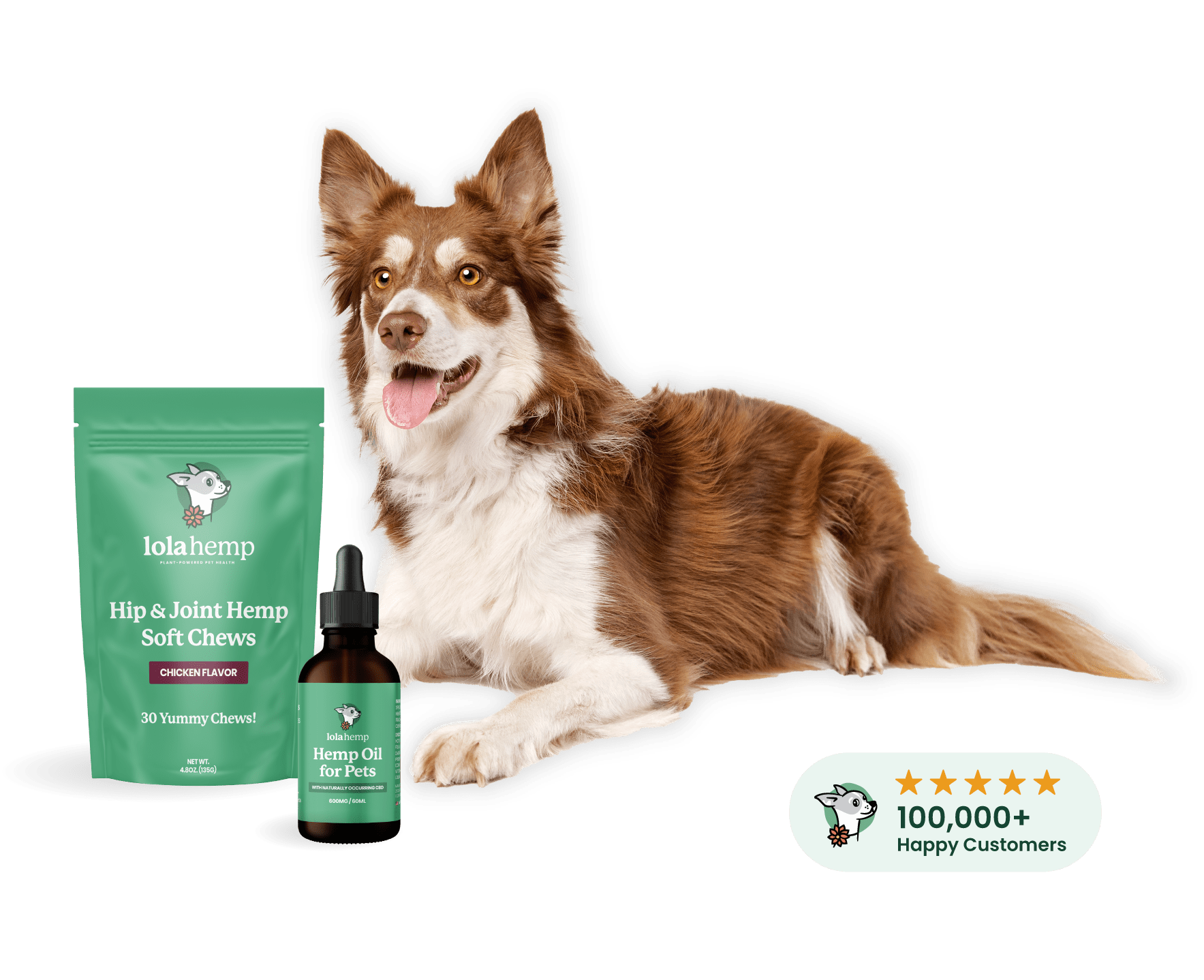 Hemp soft online chews for dogs