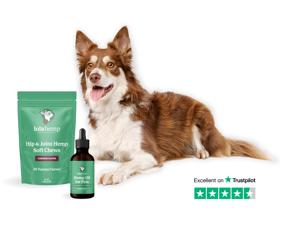Lolahemp Plant Powered Pet Health & Wellness