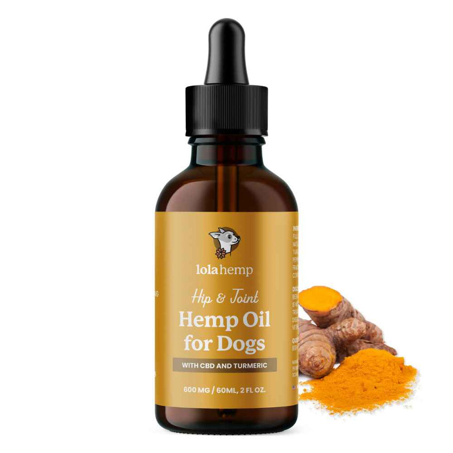 Full Spectrum CBD Oil for Dogs