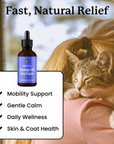 This image lists the benefits of Lolahemp's CBD oil for Cats