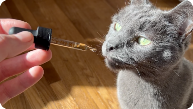 Natural calming chews ingredients