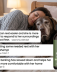 Lolahemp Calming Drops