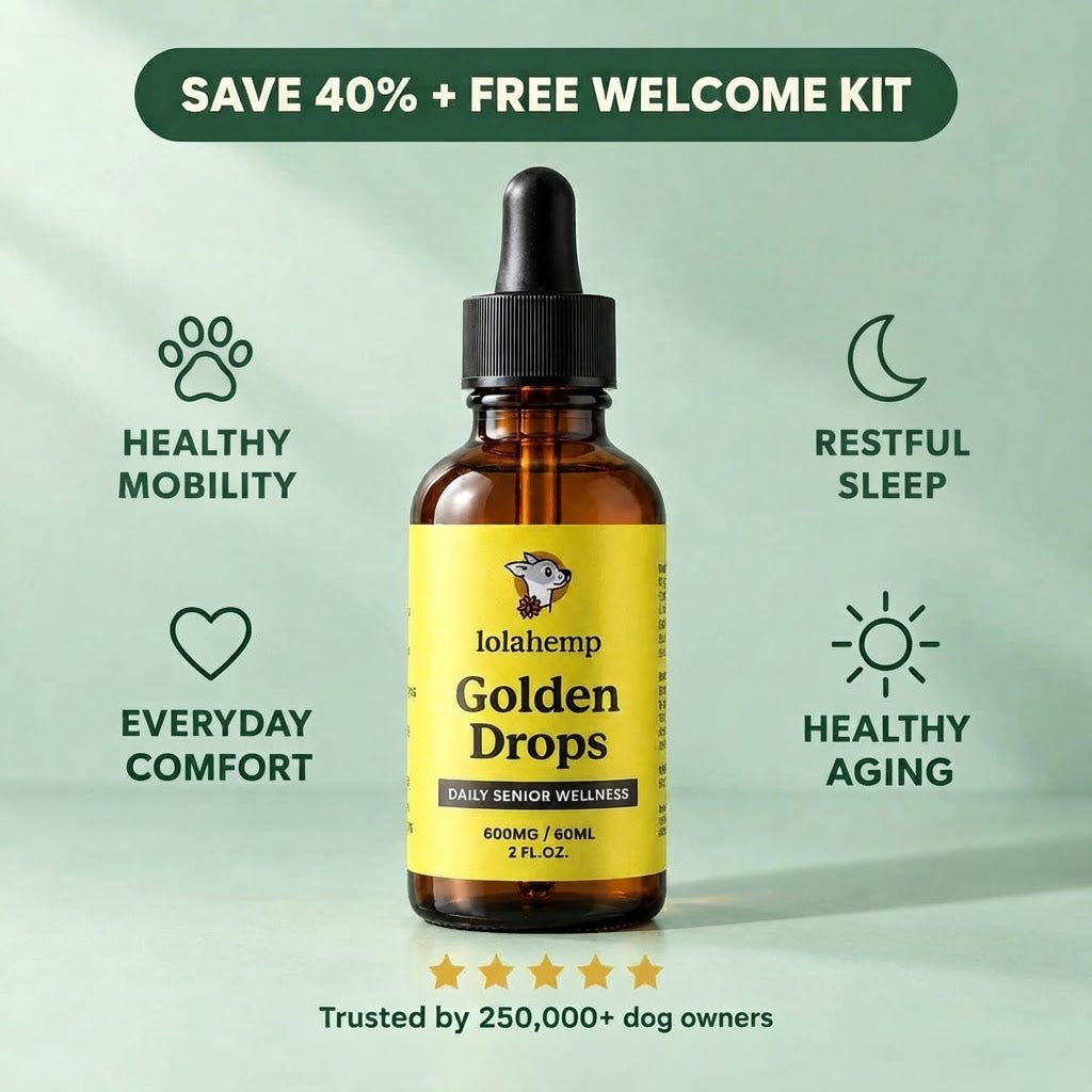 Lolahemp Golden Drops
