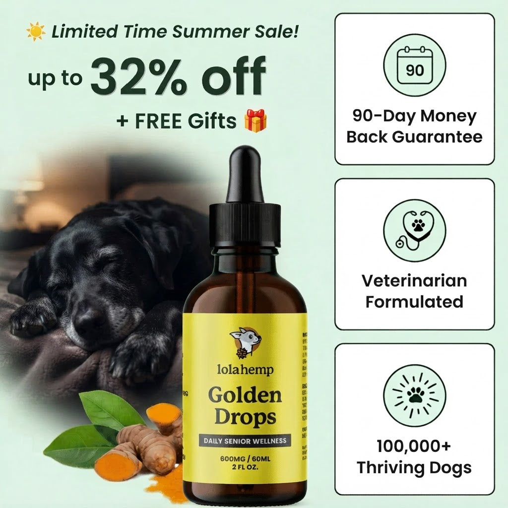 Lolahemp Golden Drops