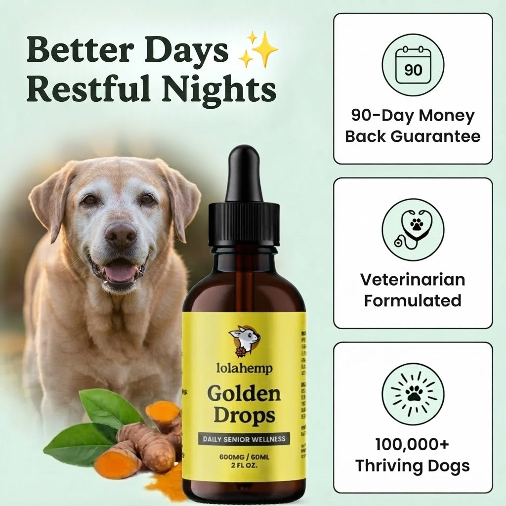 Lolahemp Golden Drops
