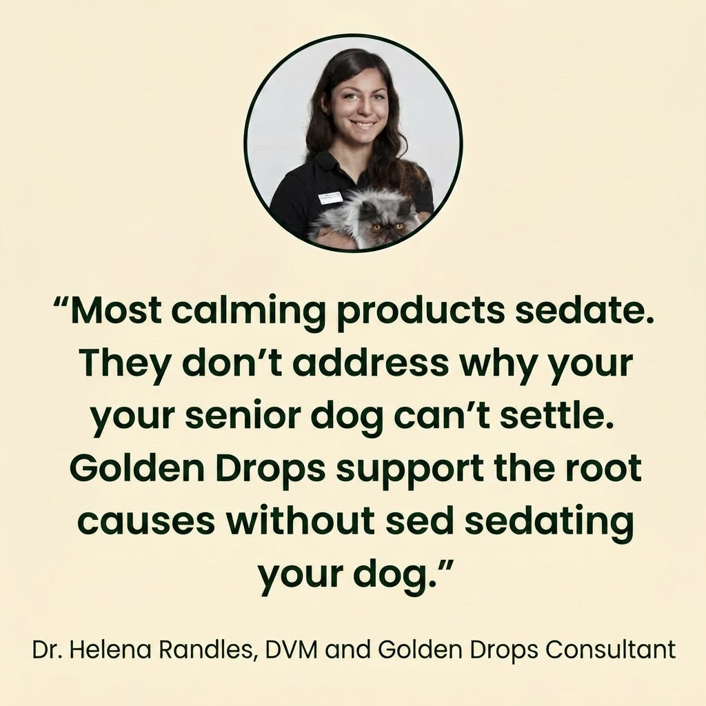 Lolahemp Golden Drops