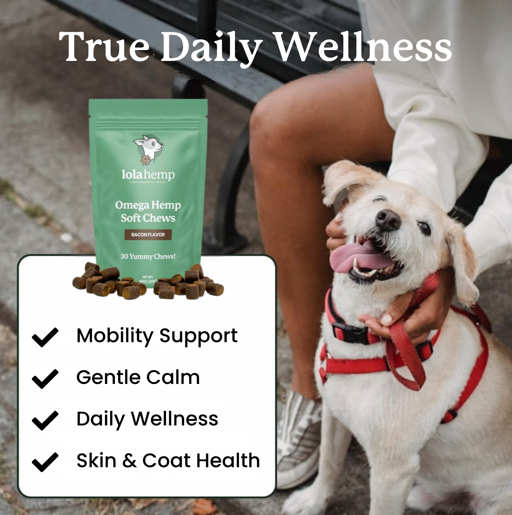 This image lists the benefits for these omega chews.