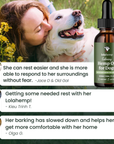 Woman kissing a dog with a bottle of Lolahemp Hemp Oil for Dogs in the background.
