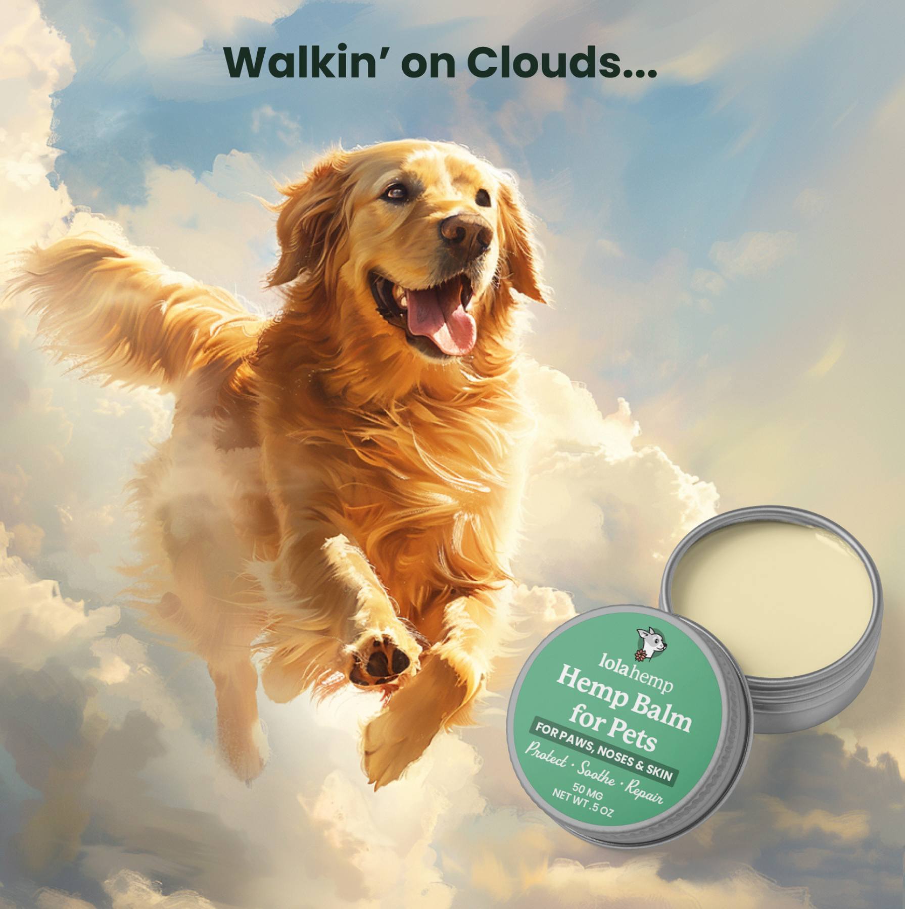 Walkin_on_Clouds_-