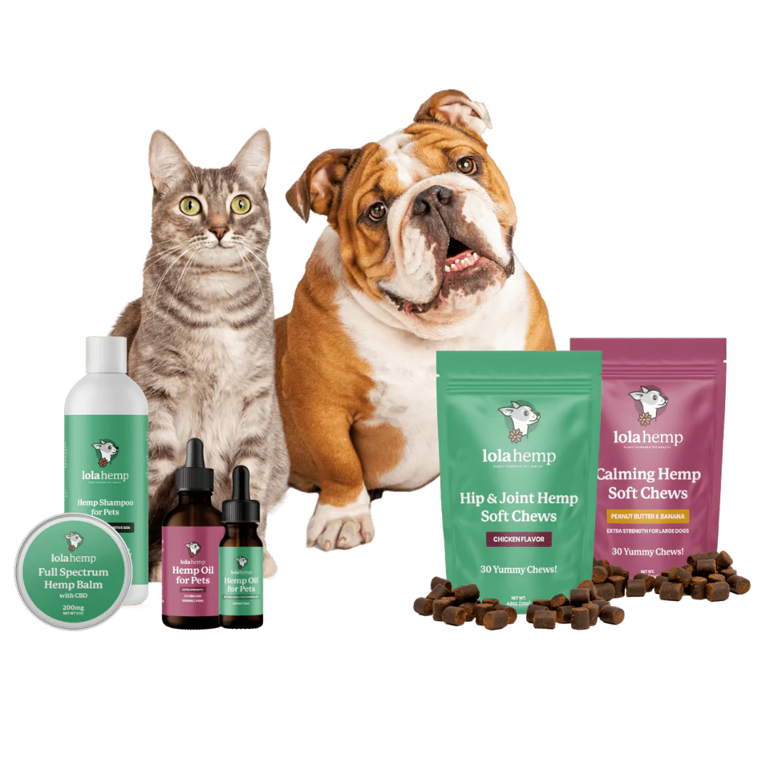 dog and cat near Lolahemp products