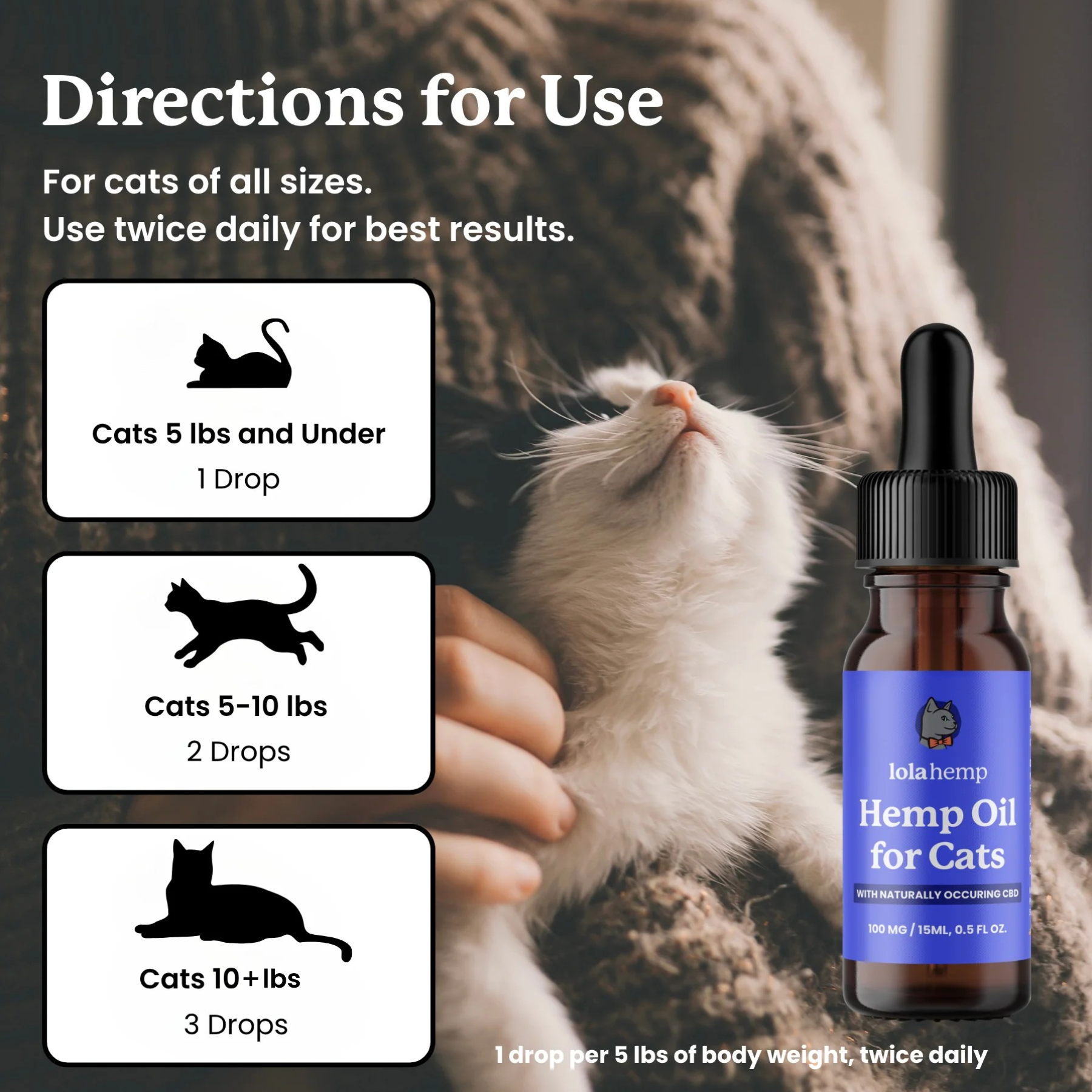 Lola Hemp Hemp Oil for Cats with usage instructions and a cat looking at the bottle.