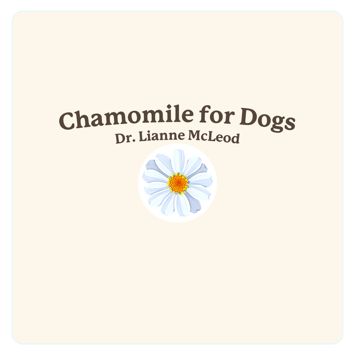 chamomile for dogs, dr. lianne mcleod