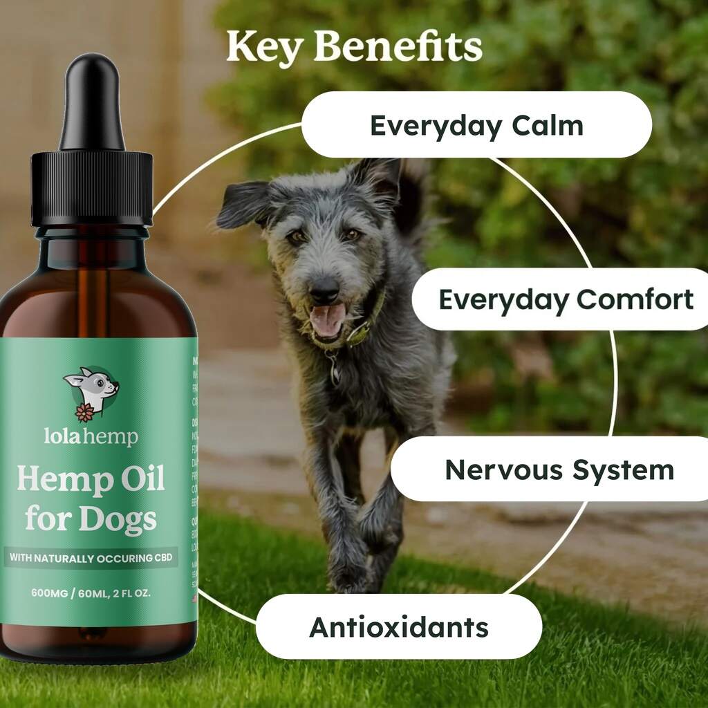Lolahemp CBD oil for dogs with its four key benefits: everyday calm, everyday comfort, nervous system and antioxidants