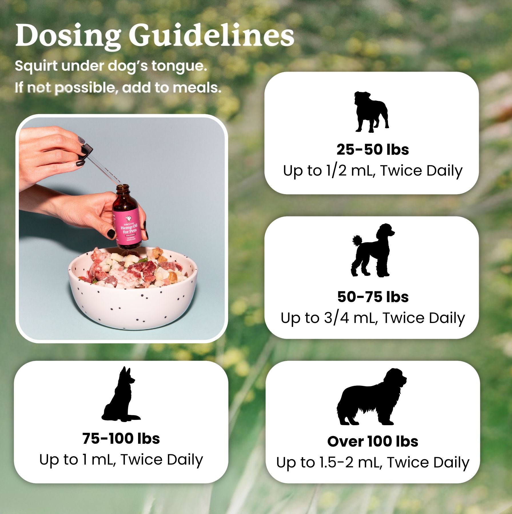 Strong CBD for Dogs | Full Spectrum Hemp Oil + CBG – Lolahemp