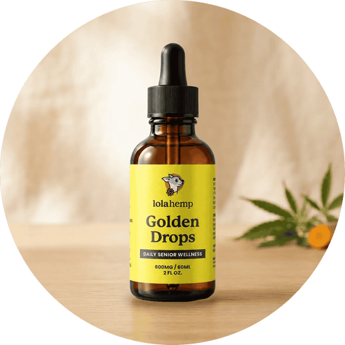 Lolahemp Golden Drops hemp oil for senior dogs