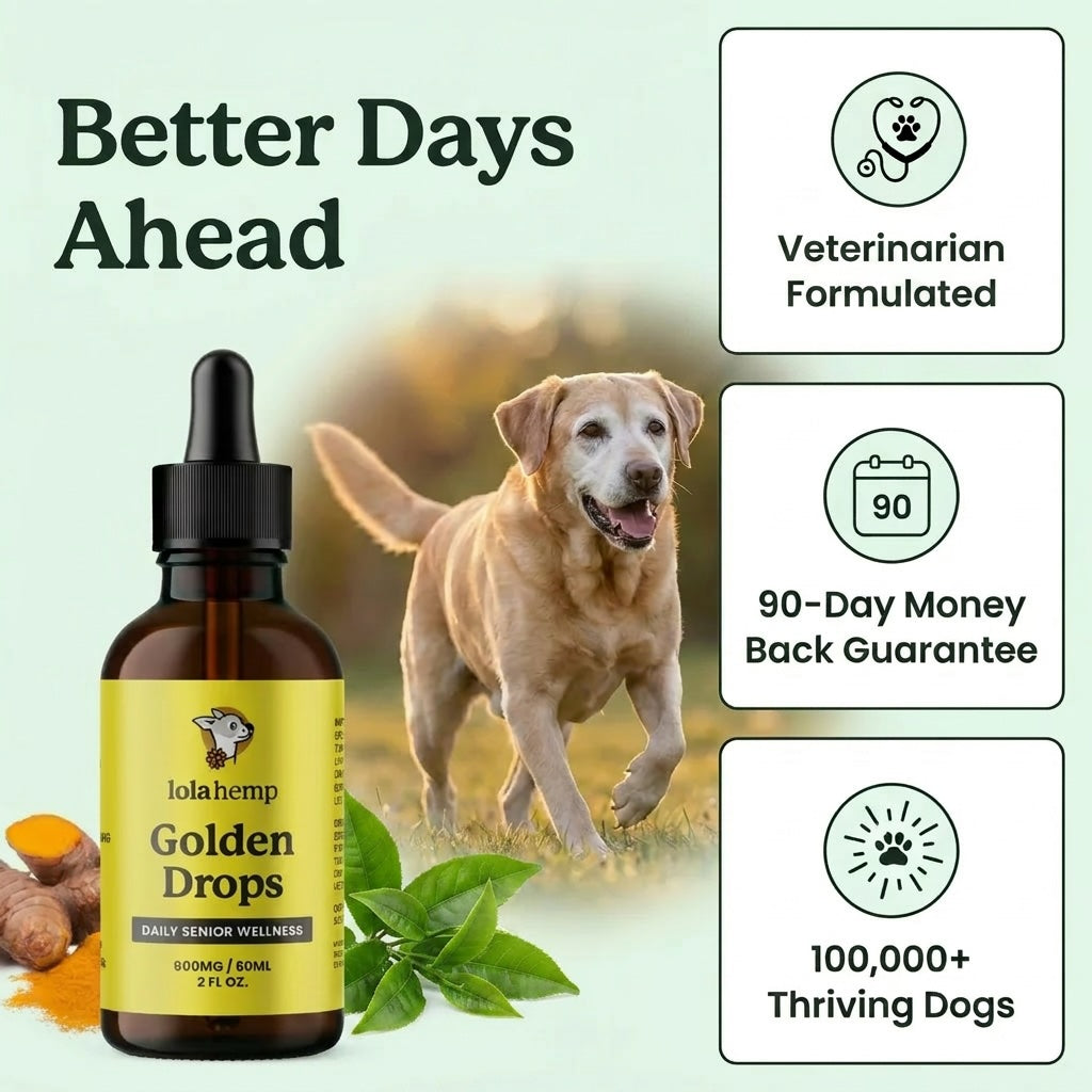 Lolahemp Golden Drops