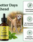 Lolahemp Golden Drops