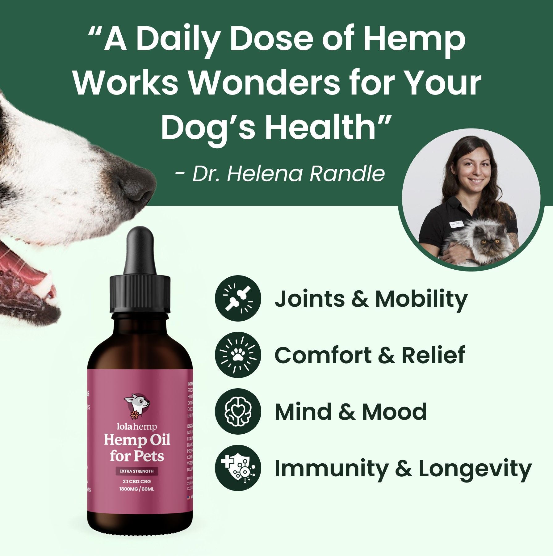 Strong CBD for Dogs | Full Spectrum Hemp Oil + CBG – Lolahemp