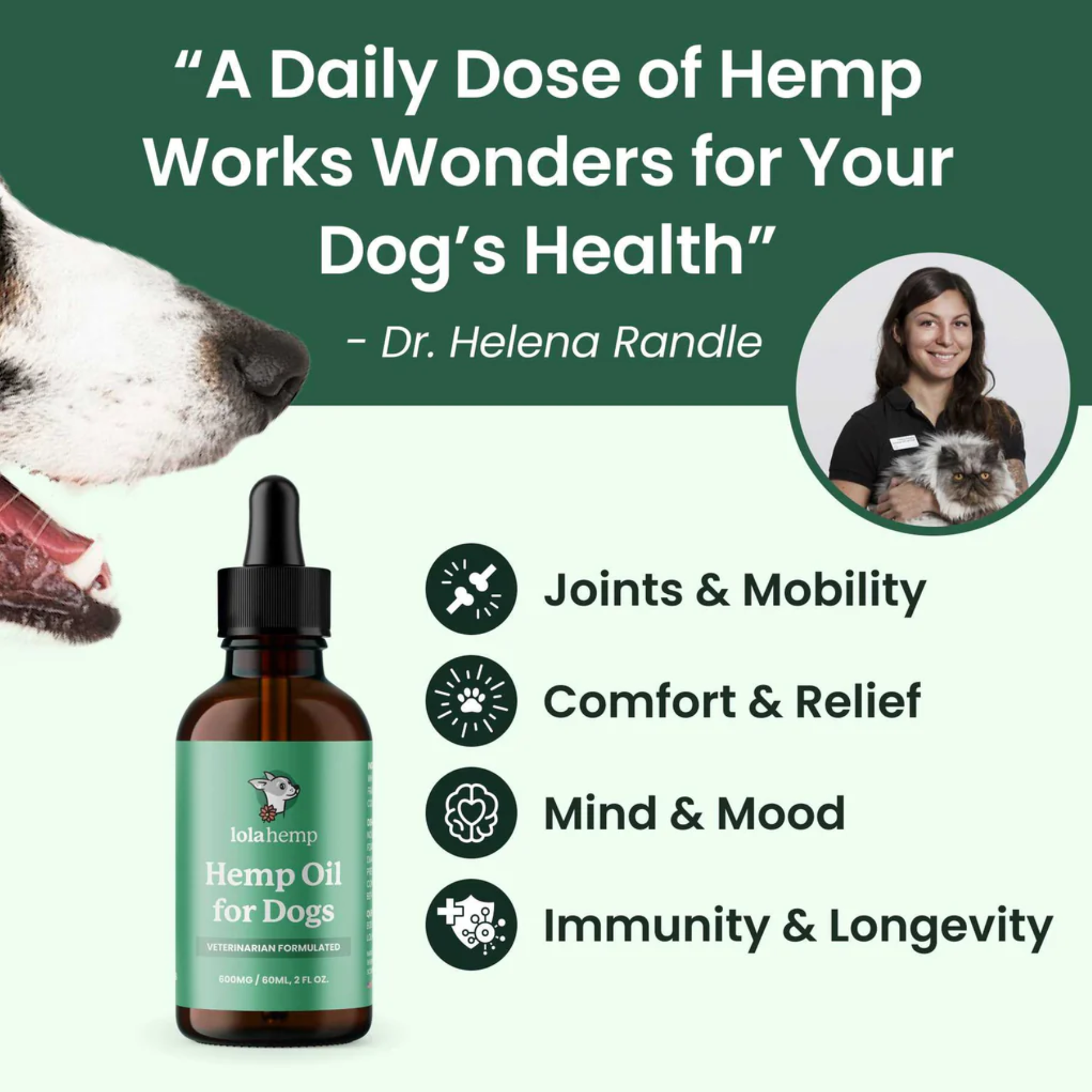 Hemp oil for dogs with a bottle and text about its benefits on a green background.