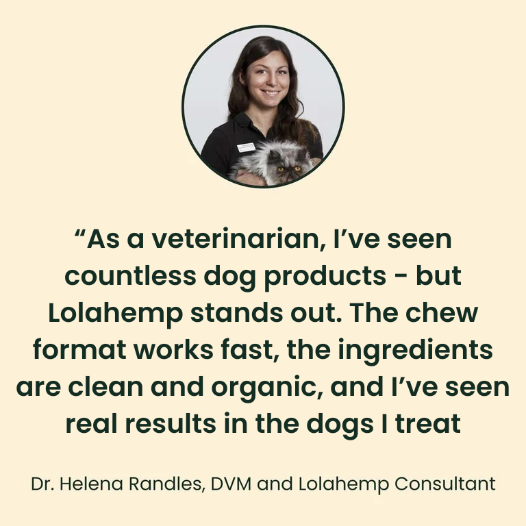 Lolahemp Mobility Drops