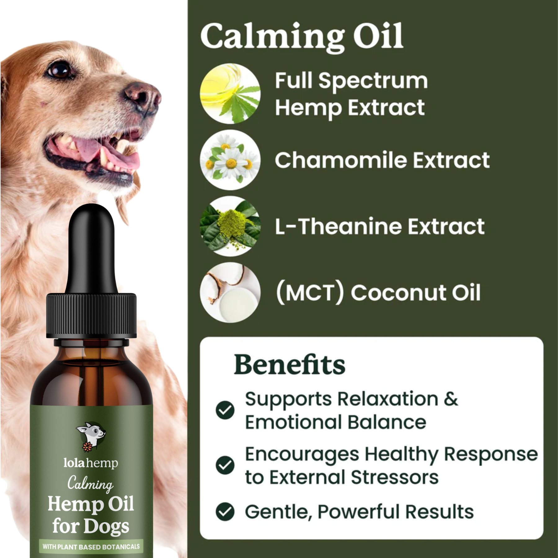 Lolahemp Calming Hemp Oil for Dogs with product bottle and dog on green background