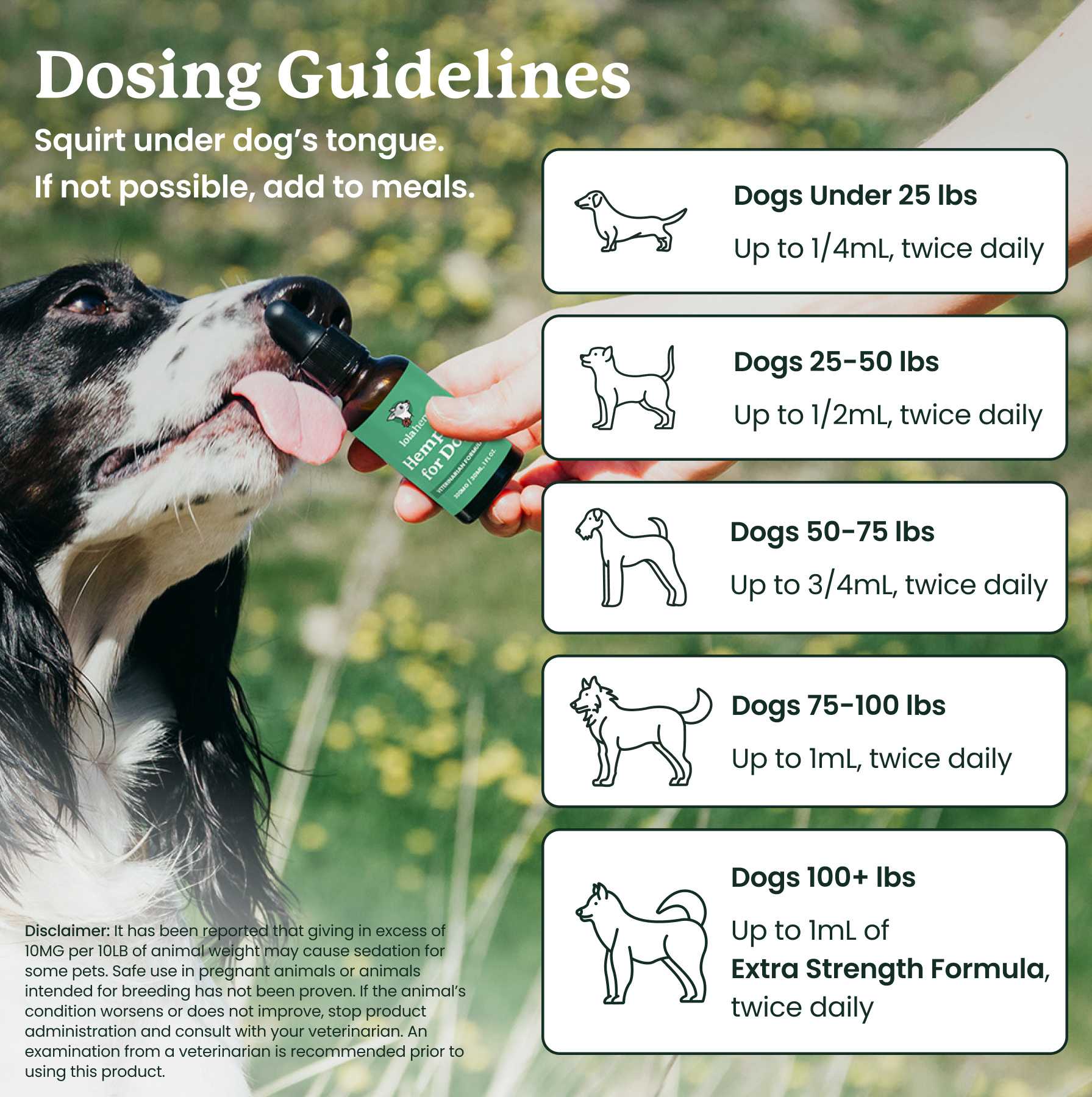 This image shows the dosing guidelines for Lolahemp oil for dogs, giving guidelines for all weight classes.