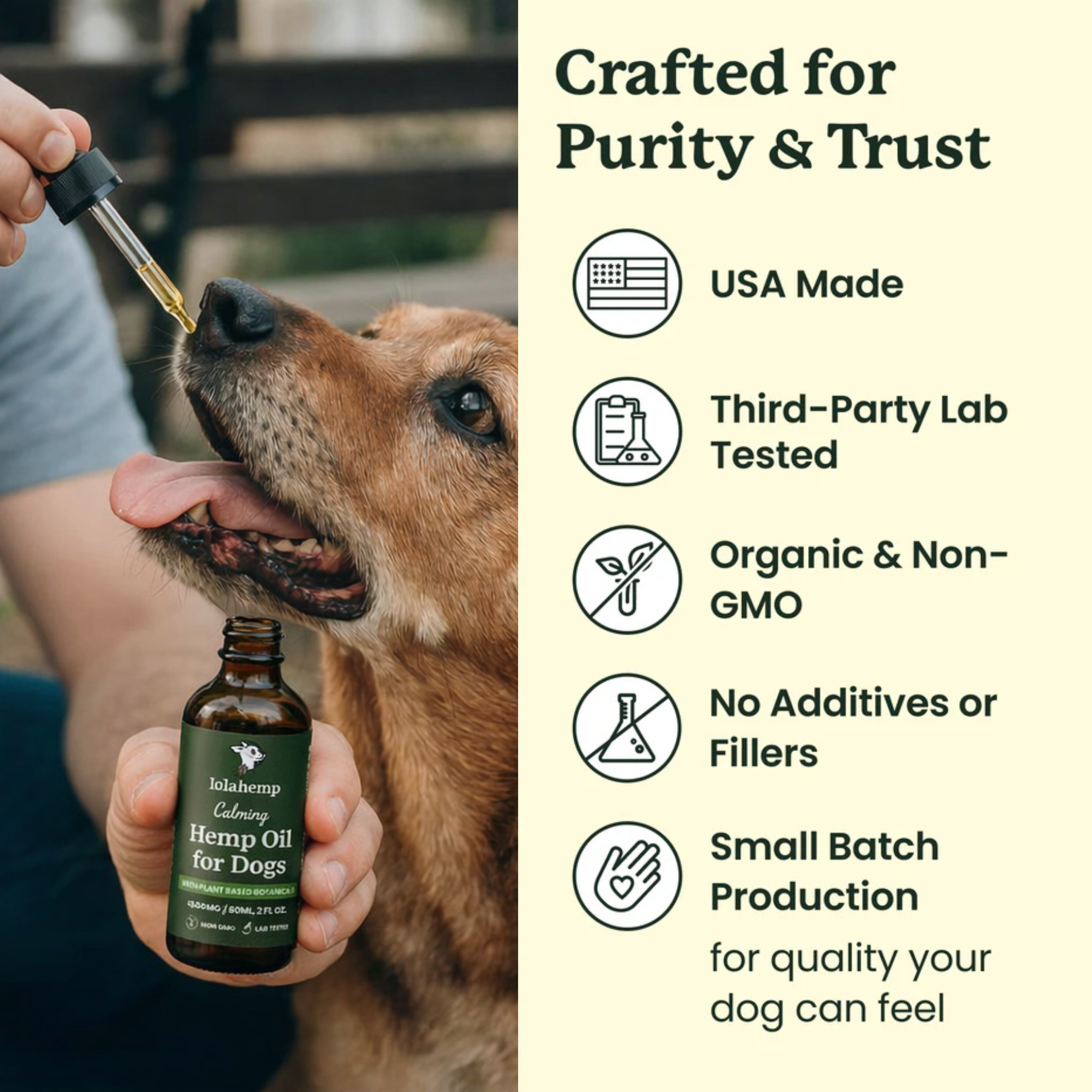 Dog being given a dropper of hemp oil with product details on purity and trust.