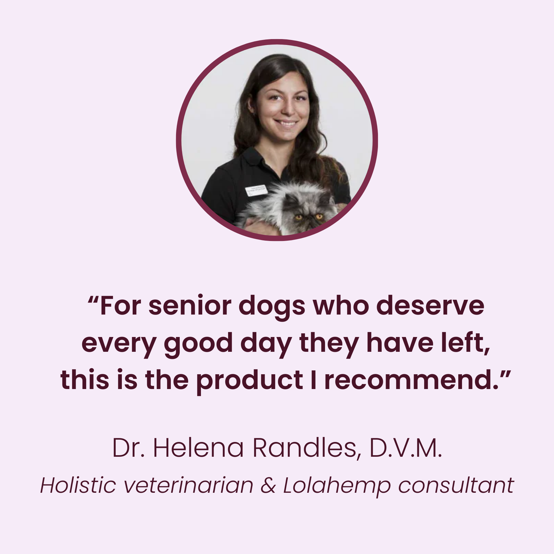 Lolahemp Max Relief Drops